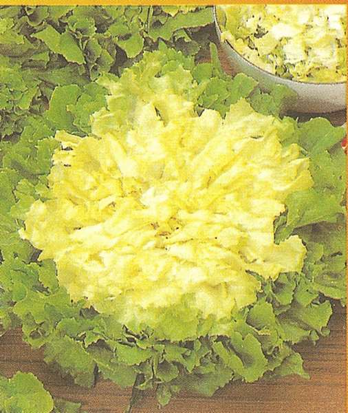 SCAROLA VERDE A CUOR PIENO GR.50